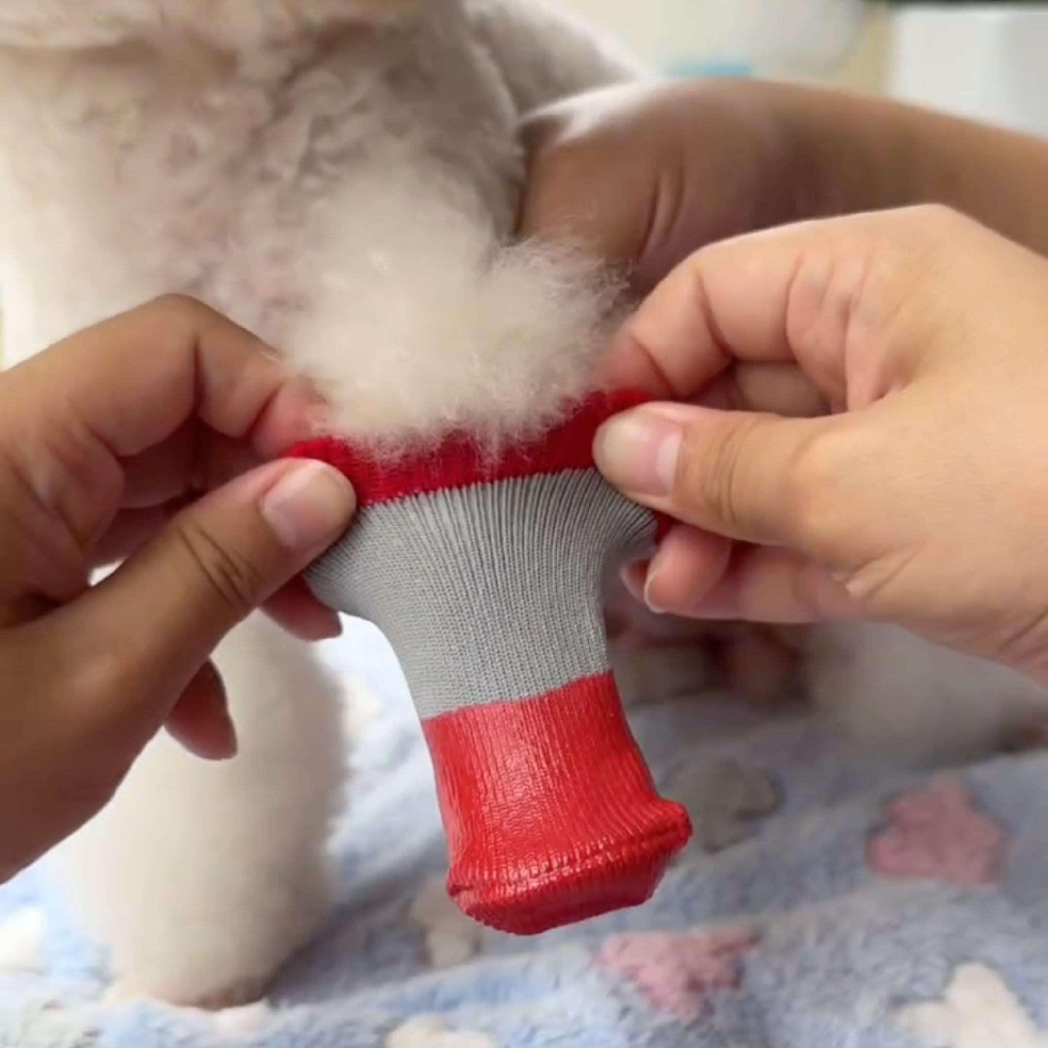 Pawpetico Su Geçirmez Köpek Ayakkabısı – Kaymaz Tabanlı Pati Koruyucu Bot