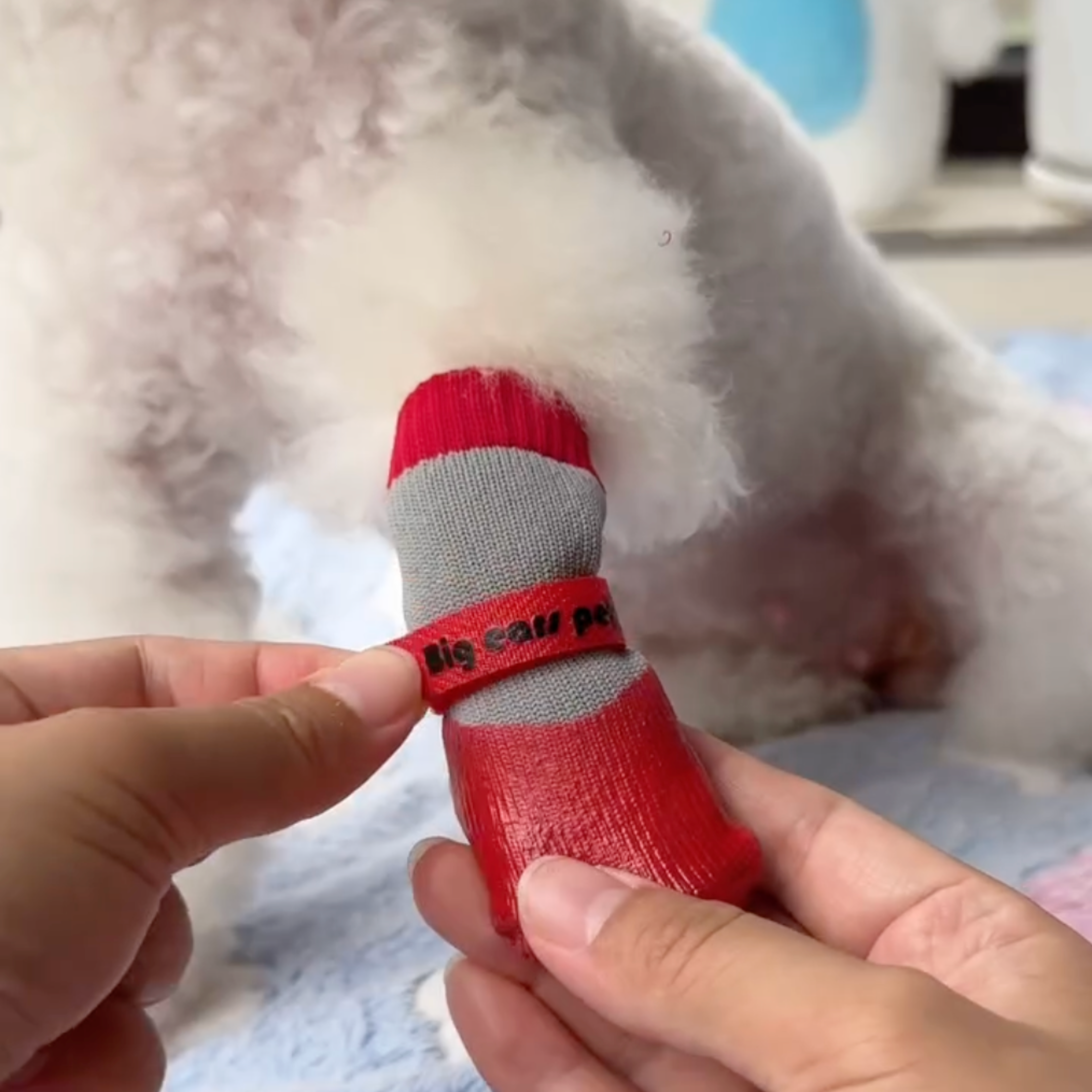 Pawpetico Su Geçirmez Köpek Ayakkabısı – Kaymaz Tabanlı Pati Koruyucu Bot