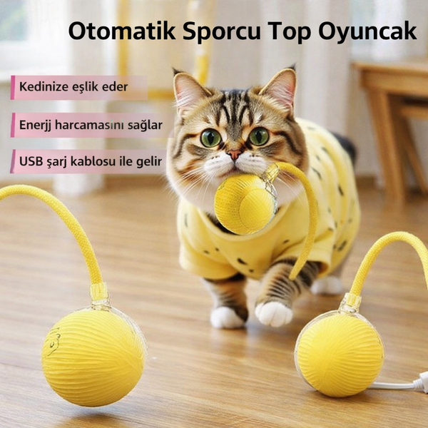 Otomatik Hareketli LED’li Köpek ve Kedi Oyuncak Topu