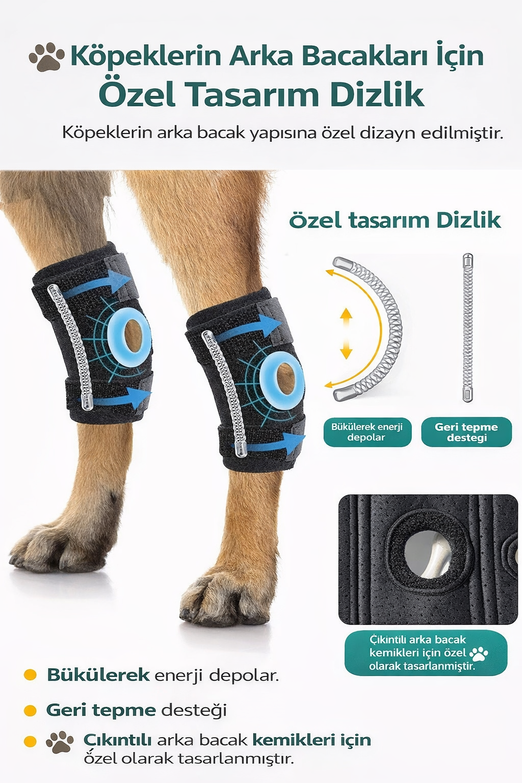 Köpek Diz Koruyucu & Eklem Destek Pedi – Yaşlı ve Aktif Köpekler İçin Koruma