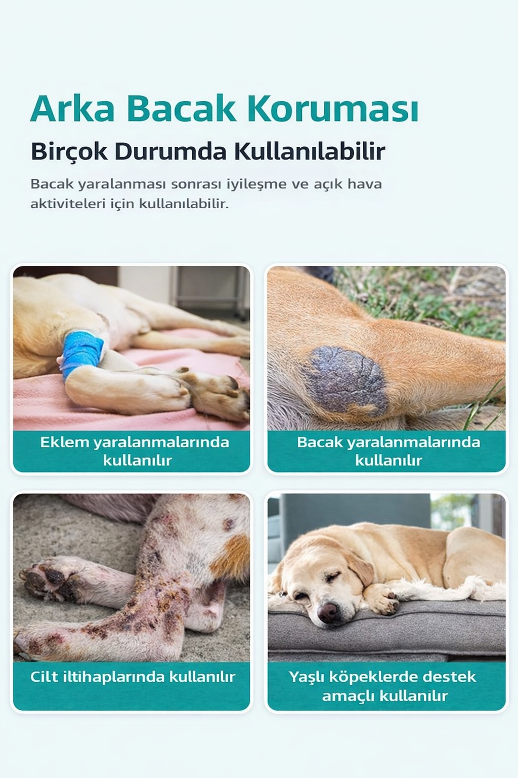 Köpek Diz Koruyucu & Eklem Destek Pedi – Yaşlı ve Aktif Köpekler İçin Koruma