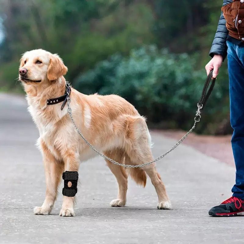 Köpek Diz Koruyucu & Eklem Destek Pedi – Yaşlı ve Aktif Köpekler İçin Koruma
